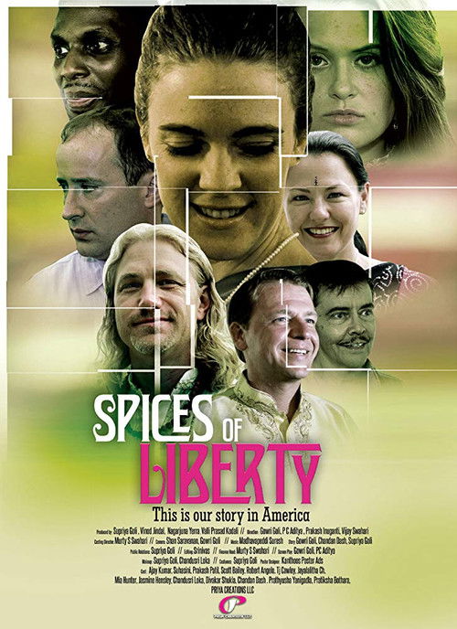 Spices of Liberty (2016) poster