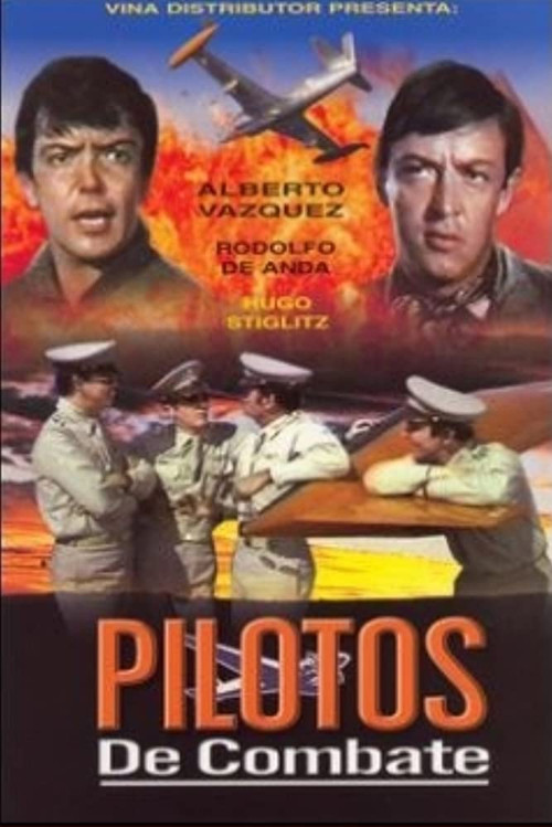 Pilotos de combate (1973) poster