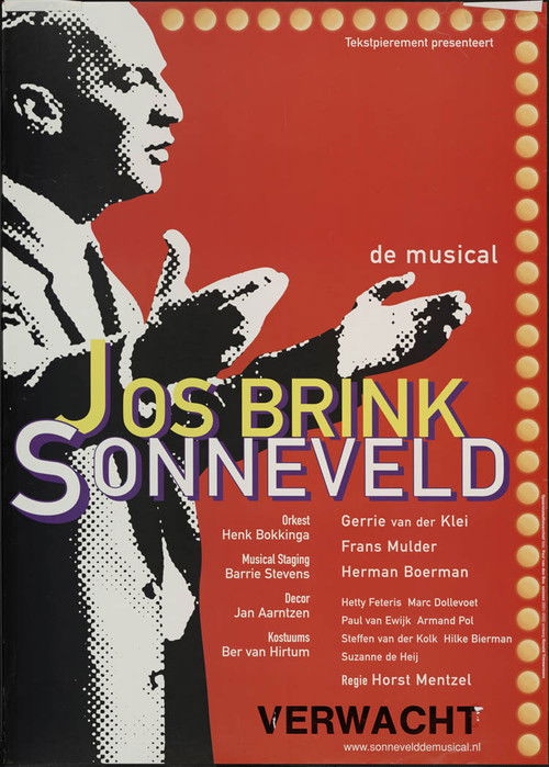 Sonneveld: Haal Het Doek Maar Op (2001) poster
