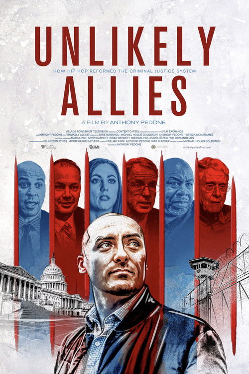 Unlikely Allies (2024) poster