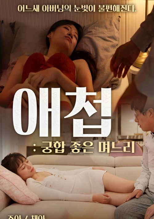 Concubine: Daughter-in-law With Good Compatibility (2023) poster
