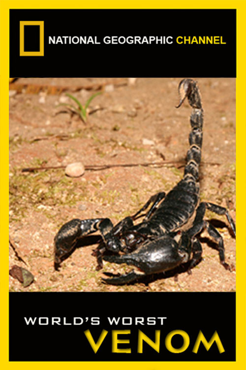 World's Worst Venom (2007) poster