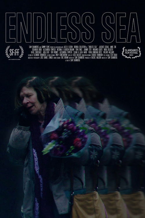 Endless Sea (2022) poster