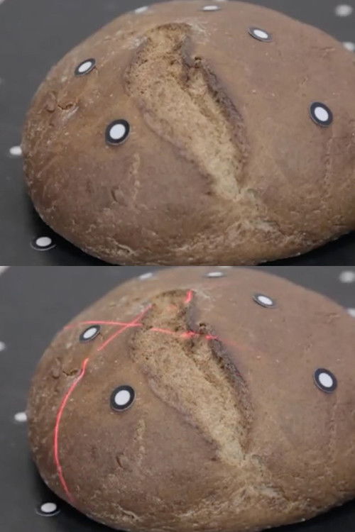 Bread. Gene (2014) poster