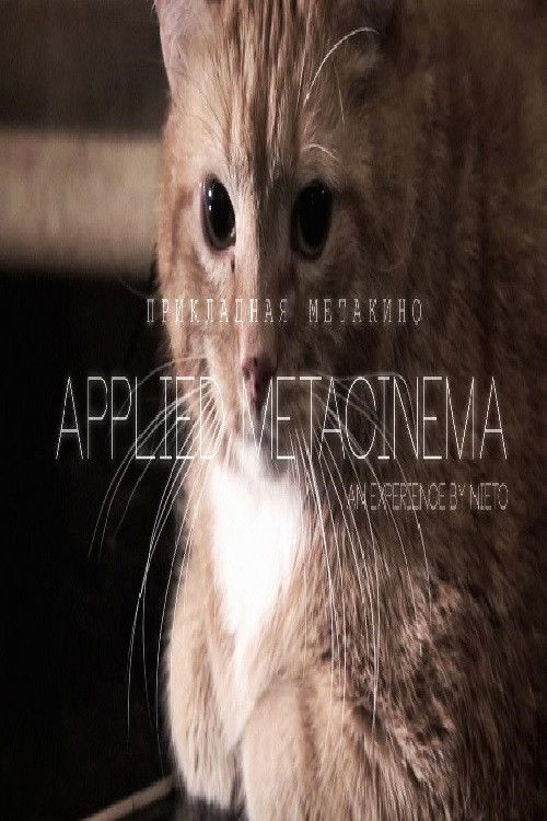 Metacinema appliqué (2014) poster