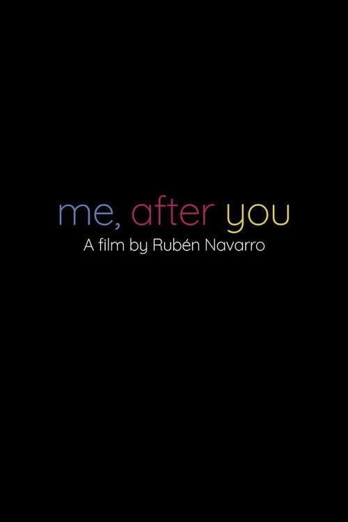Me, After You poster