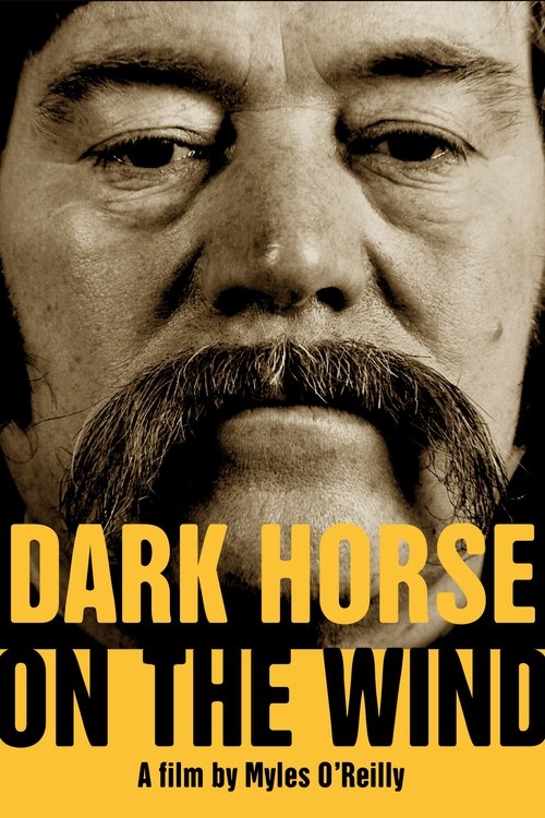 Dark Horse on the Wind (2022) poster
