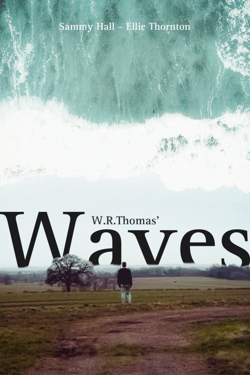 Waves (2024) poster