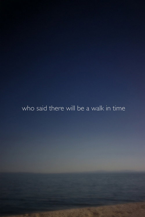 Who Said There Will Be a Walk in Time (2020) poster