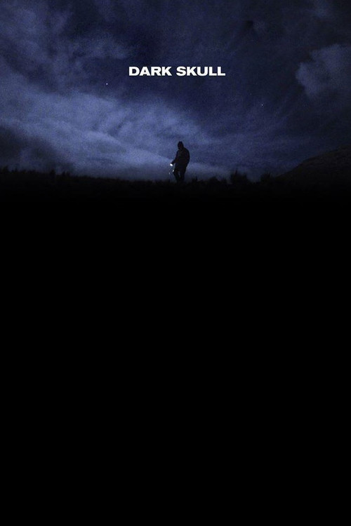Dark Skull (2016) poster
