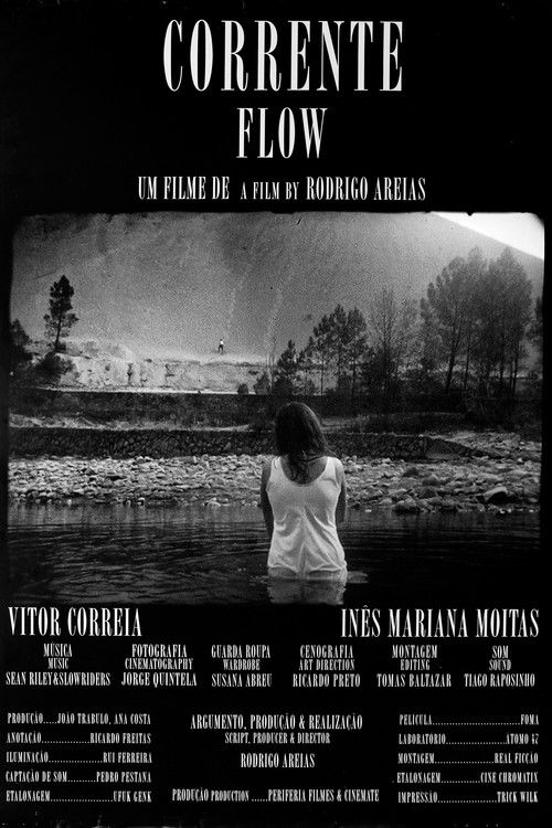 Flow (2008) poster