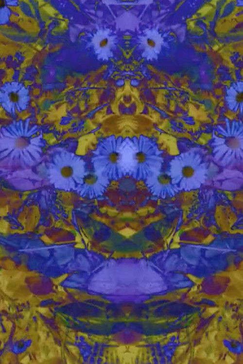 sub vid heap (2021) poster