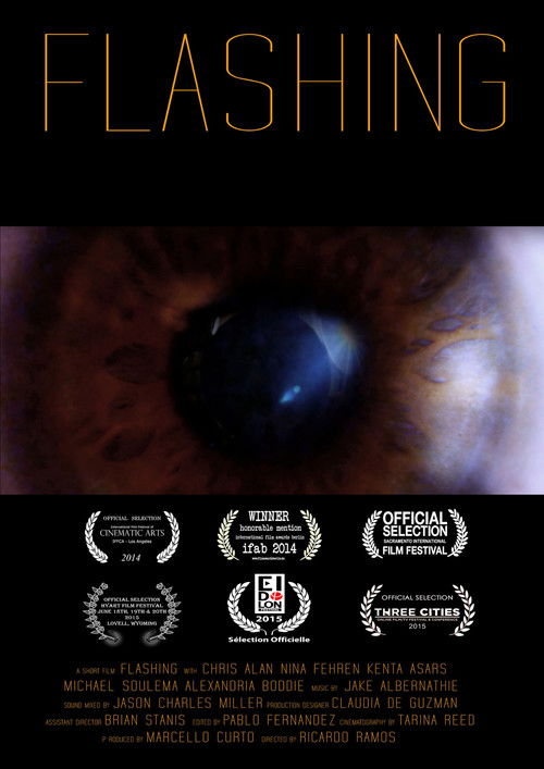 Flashing (2014) poster