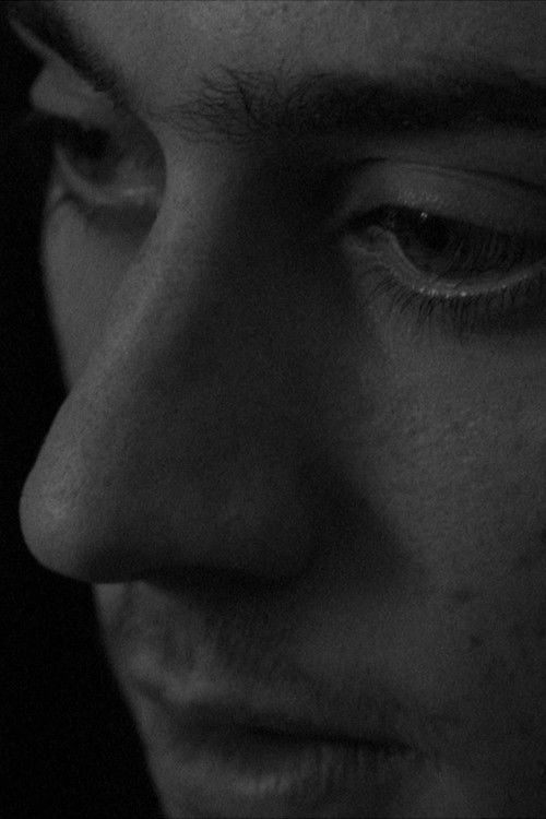 Grito nº 7 (2024) poster