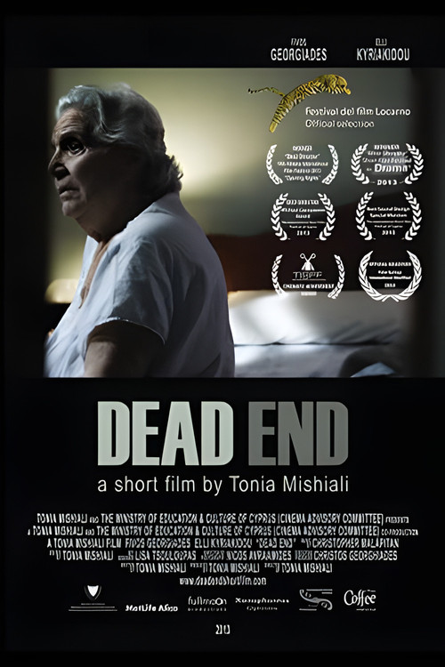 Dead End (2013) poster