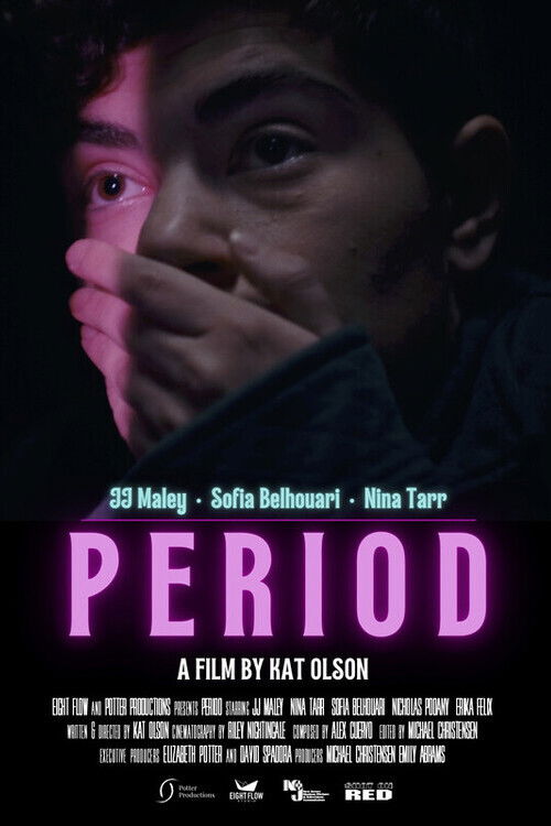 Period (2025) poster