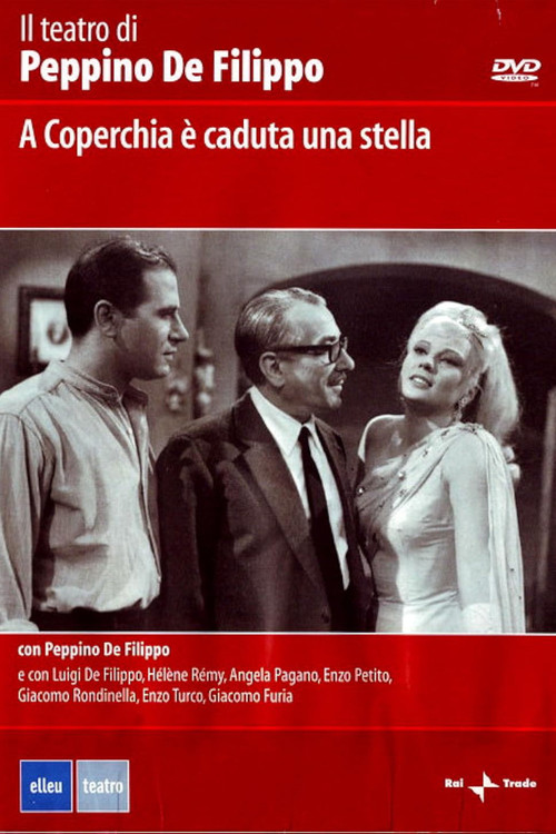 A Coperchia è caduta una stella (1933) poster
