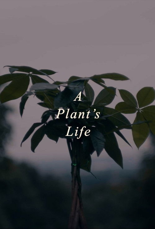 A Plant's Life (2021) poster