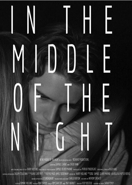 In the Middle of the Night (2016) poster
