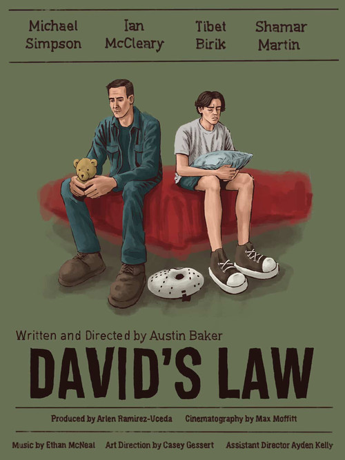 DAVID'S LAW (2025) poster