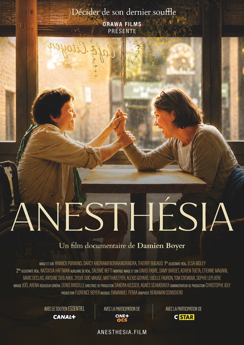 Anesthesia (2026) poster