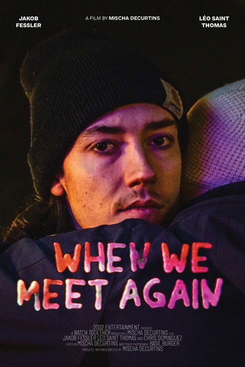 When We Meet Again (2024) poster