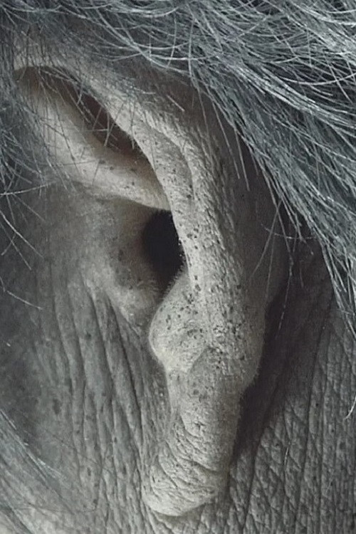 Immortal Woman (2011) poster