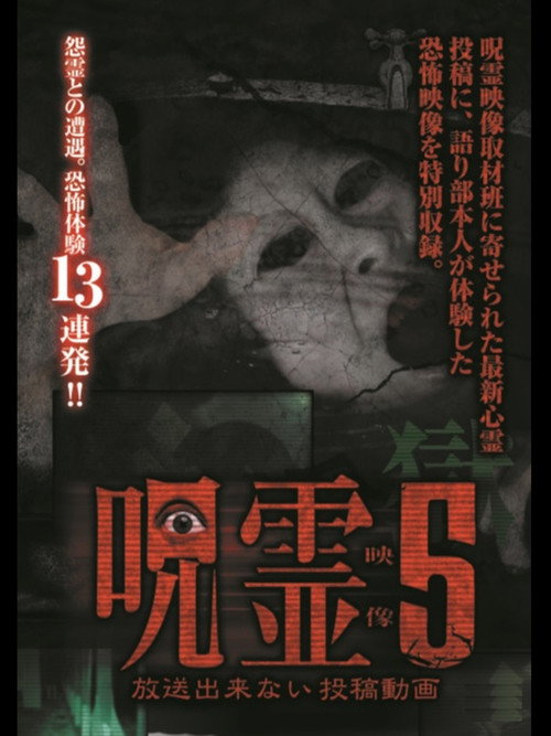 Submitted Ghost Videos That Cannot be Broadcast 5 (2015) poster