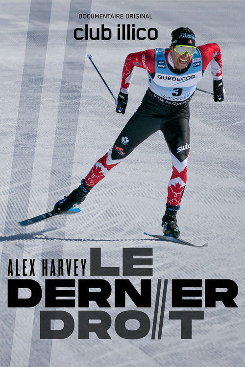 Alex Harvey : le dernier droit (2019) poster