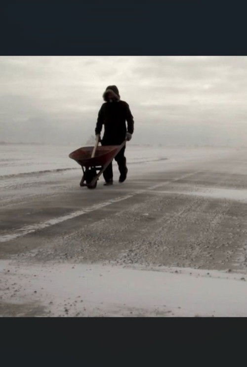 Old Growth (2012) poster