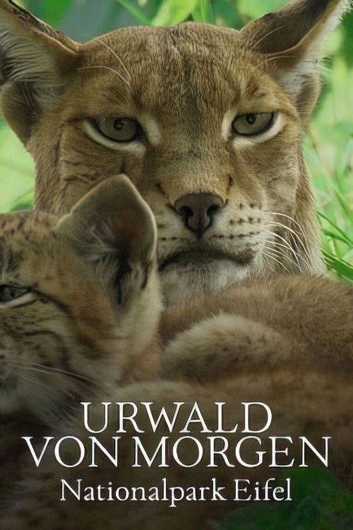 Urwald von morgen – Nationalpark Eifel (2023) poster