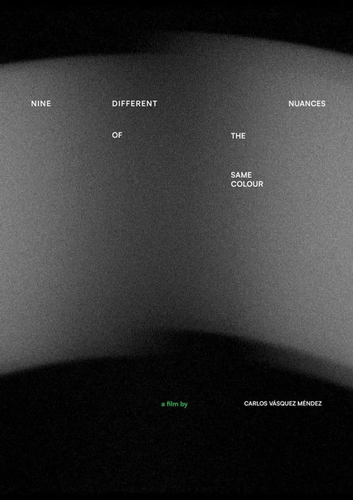 Nueve matices diferentes de un mismo color (2025) poster