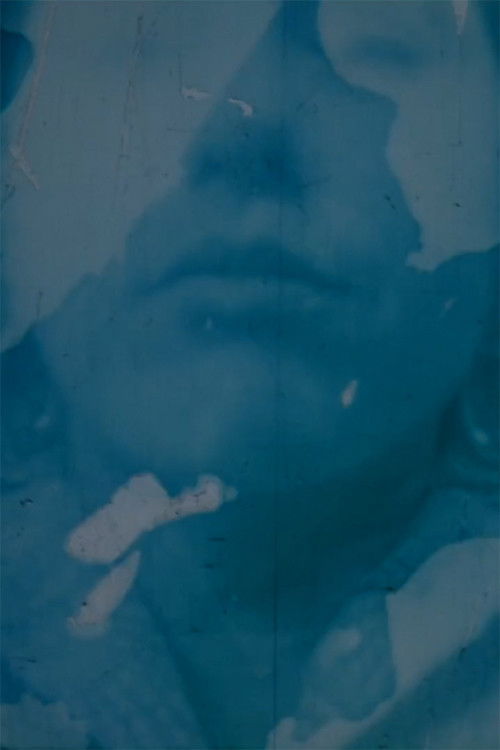 Auto Portrait / Self Portrait Post Partum (2013) poster