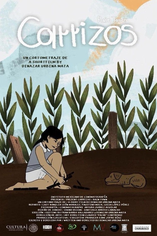 Rain Town (2017) poster