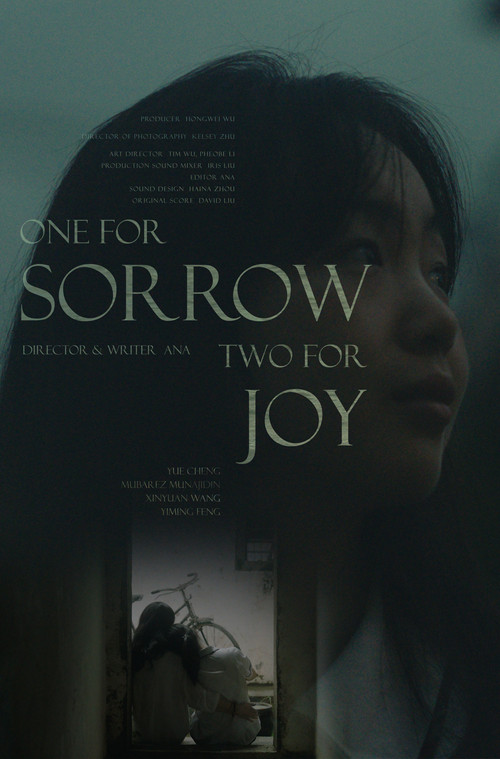 One for Sorrow, Two for Joy (2022) poster