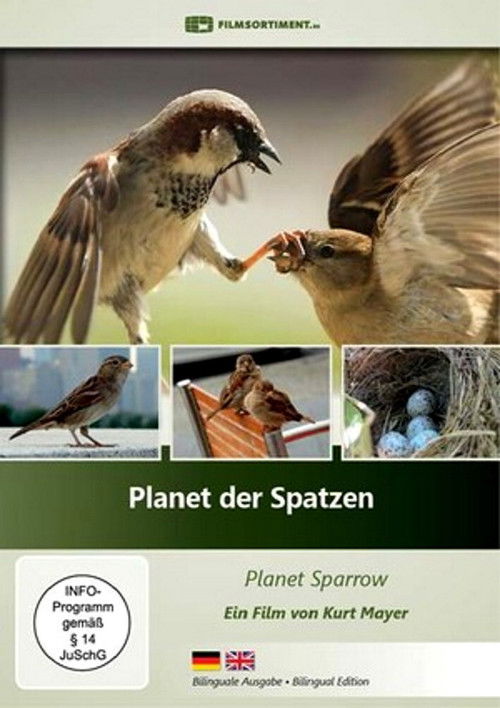 Planet der Spatzen (2017) poster