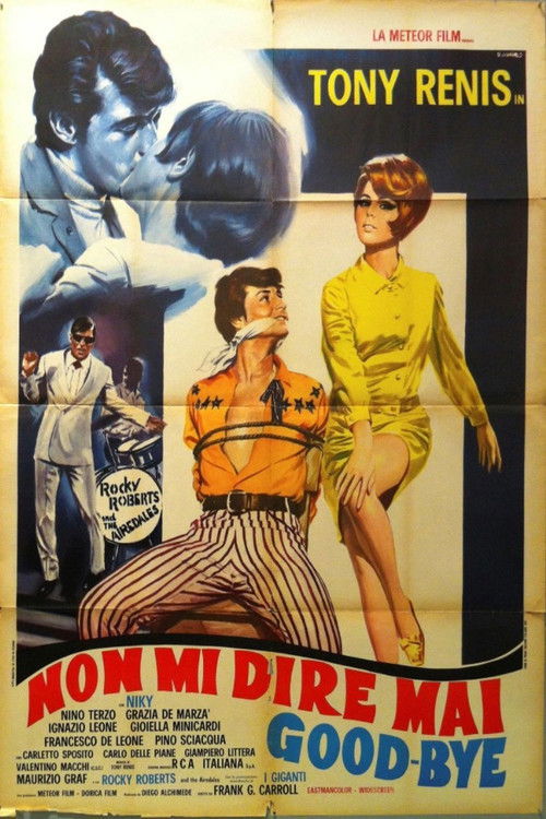 Non mi dire mai goodbye (1967) poster