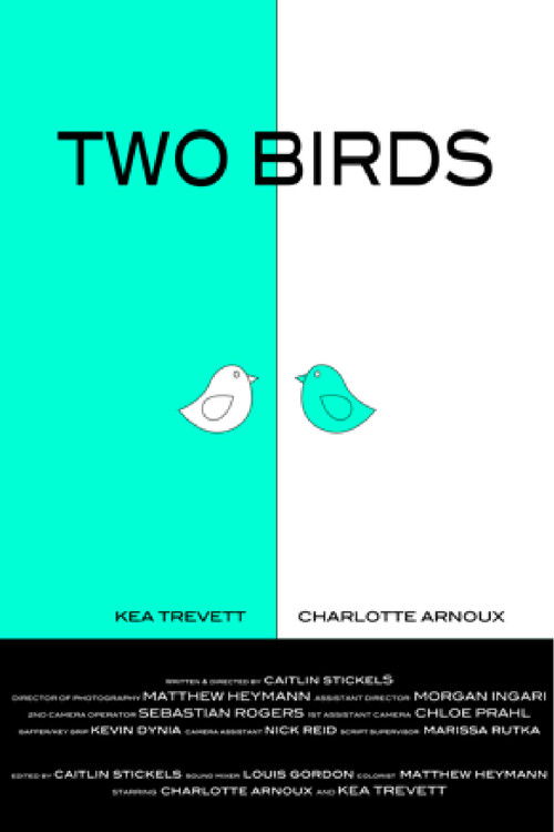 Two Birds (2016) poster
