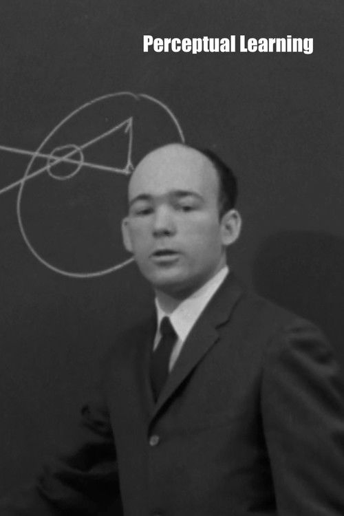 Perceptual Learning (1965) poster