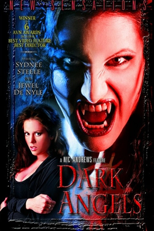 Dark Angels (2001) poster