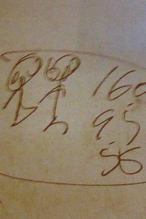 Yangtze Scribbler (2012) poster