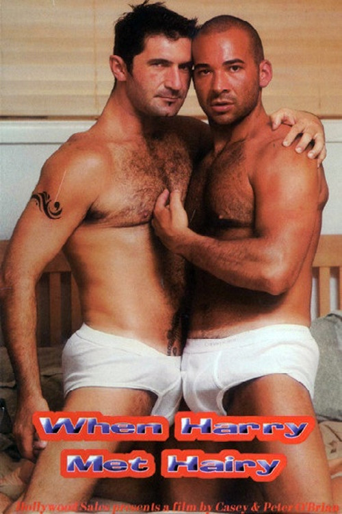 When Harry Met Hairy (2001) poster