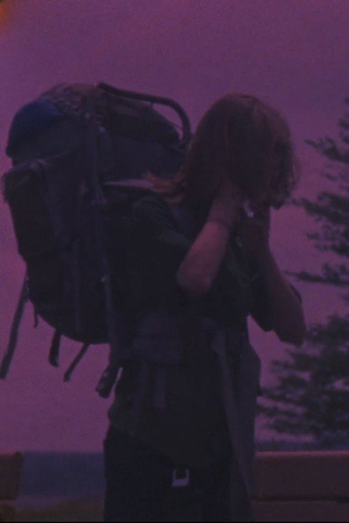 Natural Order (2017) poster