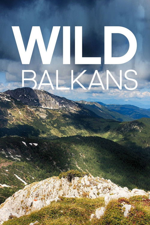 Wild Balkans (2009) poster