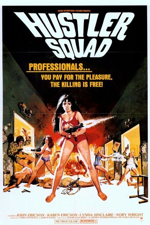 Hustler Squad (1976) poster