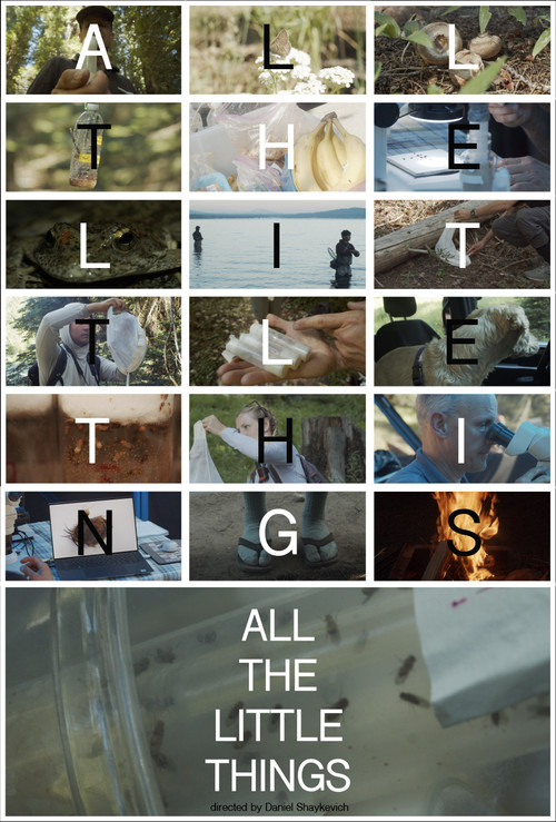 All the Little Things (2024) poster