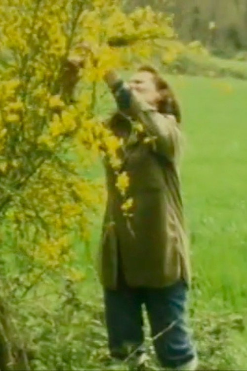 Gisèle Jan-Simon, mirror and fairy (1983) poster