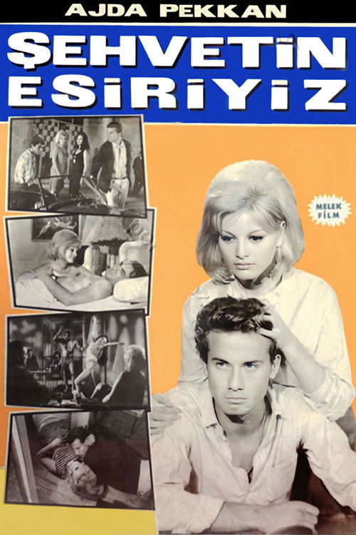 Şehvetin Esiriyiz (1965) poster