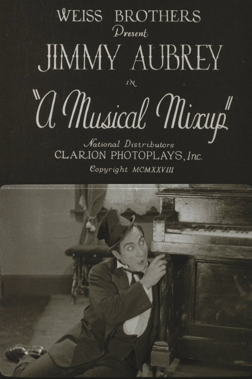 A Musical Mixup (1928) poster