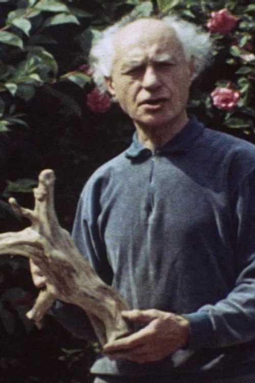 Benno Schotz: Sculptor and Modeller (1973) poster